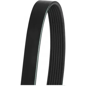 Courroie trapézoïdale à nervures HERTH+BUSS JAKOPARTS OEM 117207775R