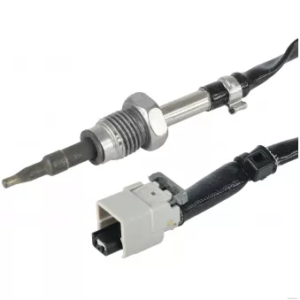 Capteur, température des gaz HERTH+BUSS JAKOPARTS J5950305