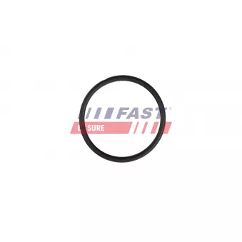 Joint, tuyauterie de liquide de refroidissement FAST OEM 804670