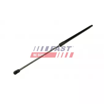 Vérin de hayon, de coffre FAST OEM 51885487