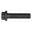 ELRING 038.820 - Vis de bielle