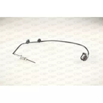 Capteur, température des gaz OPEN PARTS OEM 22630JG73A
