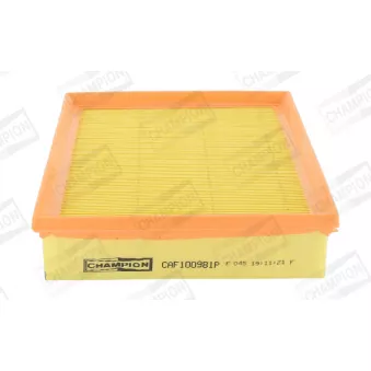 Filtre à air CHAMPION CAF100981P pour RENAULT LATITUDE 2.0 dCi 130 - 131cv