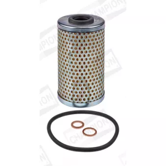 Filtre à huile CHAMPION OEM SAK701