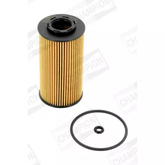 Filtre à huile CHAMPION OEM 263102A002