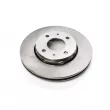 Dr!ve+ DP1010.11.0798 - Jeu de 2 disques de frein avant