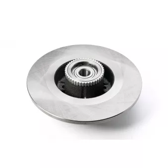 Jeu de 2 disques de frein arrière Dr!ve+ OEM 8671018263