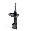 Dr!ve+ DP1610.10.0027 - Amortisseur avant droit