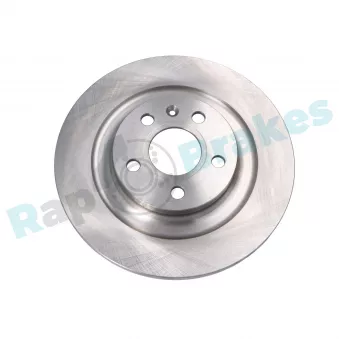RAP BRAKES R-D1197 - Disque de frein arrière