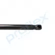 PROFLEX PX2-0428 - Vérin de hayon, de coffre