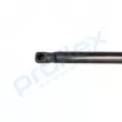 PROFLEX PX2-0551 - Vérin de hayon, de coffre