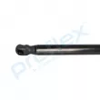 PROFLEX PX2-0552 - Vérin de hayon, de coffre
