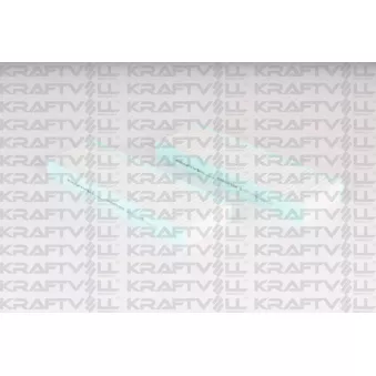 Filtre, air de l'habitacle KRAFTVOLL GERMANY OEM 9833350880