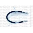 KRAFTVOLL GERMANY 07080130 - Flexible de frein