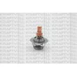 KRAFTVOLL GERMANY 08110079 - Thermostat, liquide de refroidissement