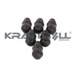KRAFTVOLL GERMANY 10060243 - Suspension, stabilisateur