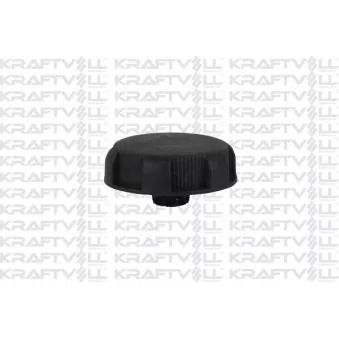 Bouton tournant, ajustage du dossier KRAFTVOLL GERMANY OEM 8898LG