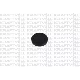 Bouchon, axe de culbuteurs-nez fileté KRAFTVOLL GERMANY OEM 4410493