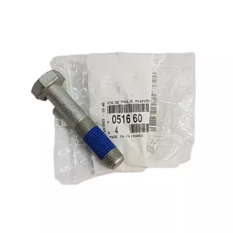 Boulon de poulie OE 051660