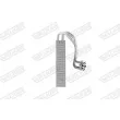 WALKER WEV00068 - Évaporateur climatisation
