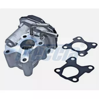 Vanne EGR FRECCIA OEM 147105X00B