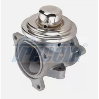 Vanne EGR FRECCIA OEM 045131501F
