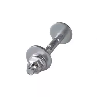 Vis TEDGUM OEM WHT000228