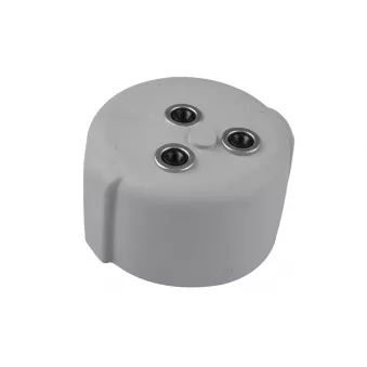 Support moteur TEDGUM TED17993 pour MERCEDES-BENZ CLASSE S S 600 - 500cv