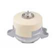 Support moteur TEDGUM [TED20297]