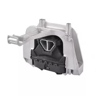 Support moteur TEDGUM OEM 5WA199262P