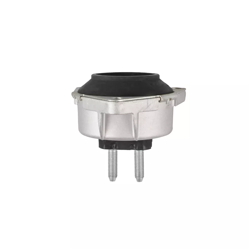 Support moteur TEDGUM TED25518 - Visuel 1