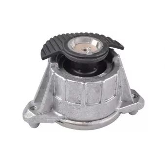 Support moteur TEDGUM TED25756 pour MERCEDES-BENZ CLASSE E E 500 - 388cv