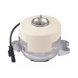 TEDGUM TED27536 - Support moteur
