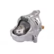 Support moteur TEDGUM [TED30301]
