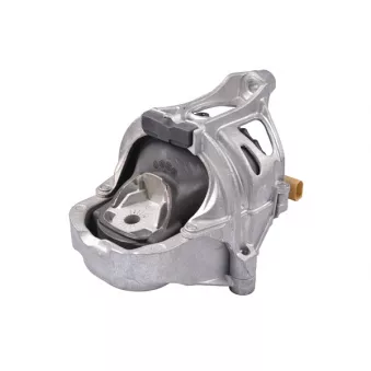 Support moteur TEDGUM TED30301 pour AUDI Q5 2.0 TDI - 150cv