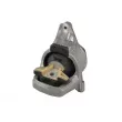Support moteur TEDGUM [TED35933]