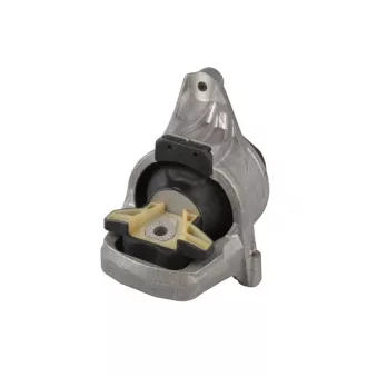 Support moteur TEDGUM TED35933 pour AUDI A4 2.0 TFSI - 252cv