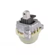 TEDGUM TED43714 - Support moteur