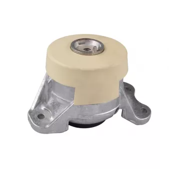 Support moteur TEDGUM OEM A2532400300