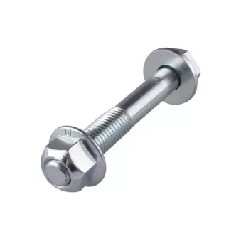 Vis TEDGUM OEM 10282253