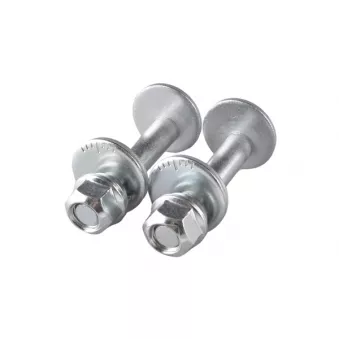 TEDGUM TED50469 - Vis de correction du carrossage