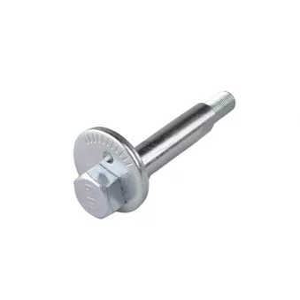 Vis de correction du carrossage TEDGUM TED51310 pour MITSUBISHI PAJERO 2.5 TDI - 115cv