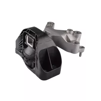 Support moteur TEDGUM OEM 113752039R