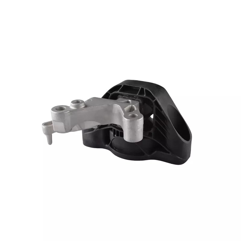 Support moteur TEDGUM TED52841 - Visuel 1