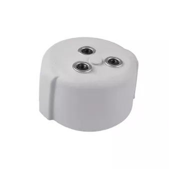 Support moteur TEDGUM TED53015 pour MERCEDES-BENZ CLASSE S S 65 AMG - 612cv