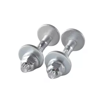 Vis de correction du carrossage TEDGUM OEM WHT000232