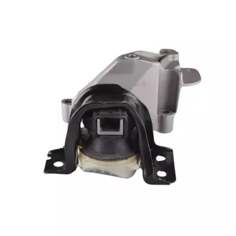 Support moteur TEDGUM OEM 112101351R