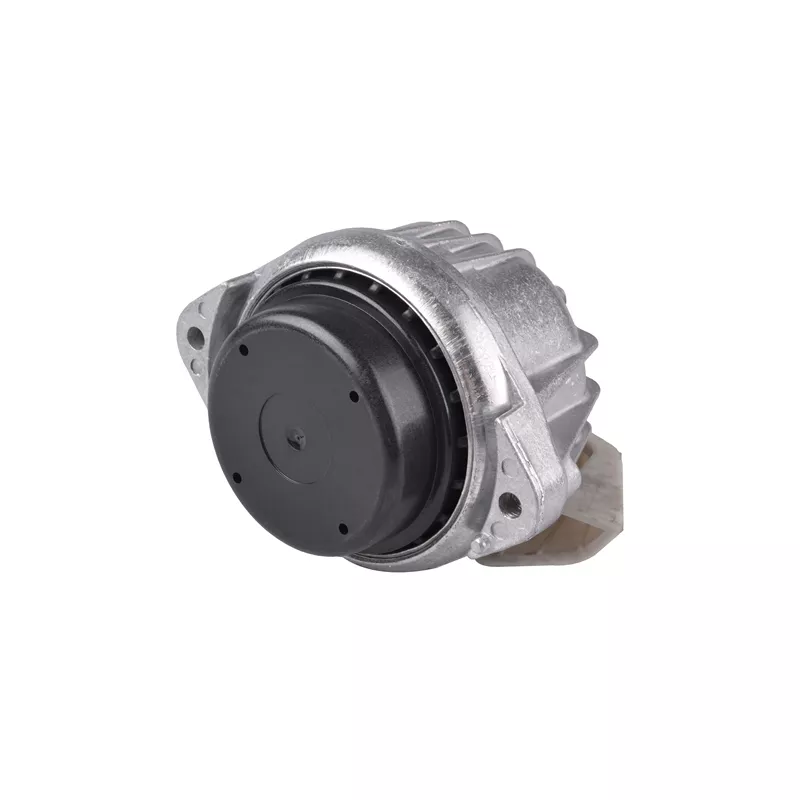 Support moteur TEDGUM TED62178 - Visuel 1