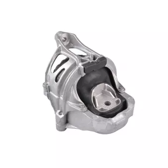 TEDGUM TED69449 - Support moteur