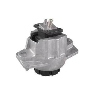 Support moteur TEDGUM TED69852 pour JAGUAR F-PACE 2.0 AWD - 250cv